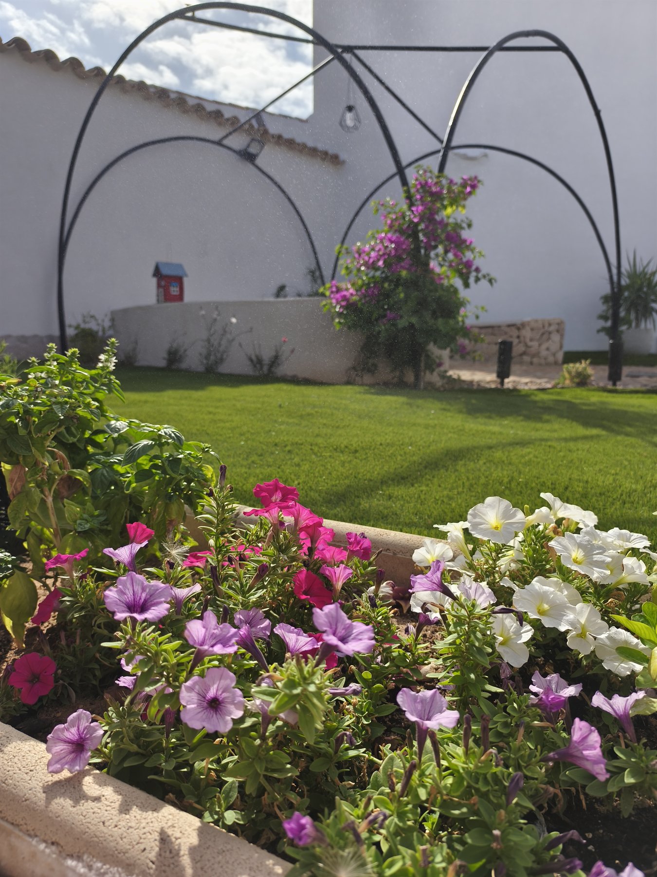 Patio ajardinado de El Descanso de Alcolea